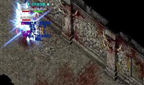 热血传奇里战士职业比不上宠物